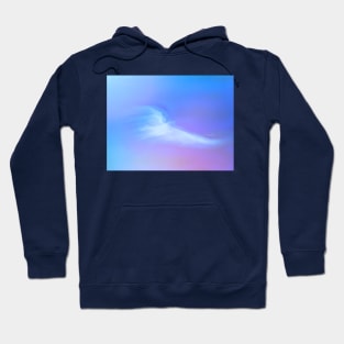 Soaring on the Wings of a Dove Hoodie
